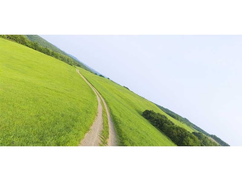 示例案例八
